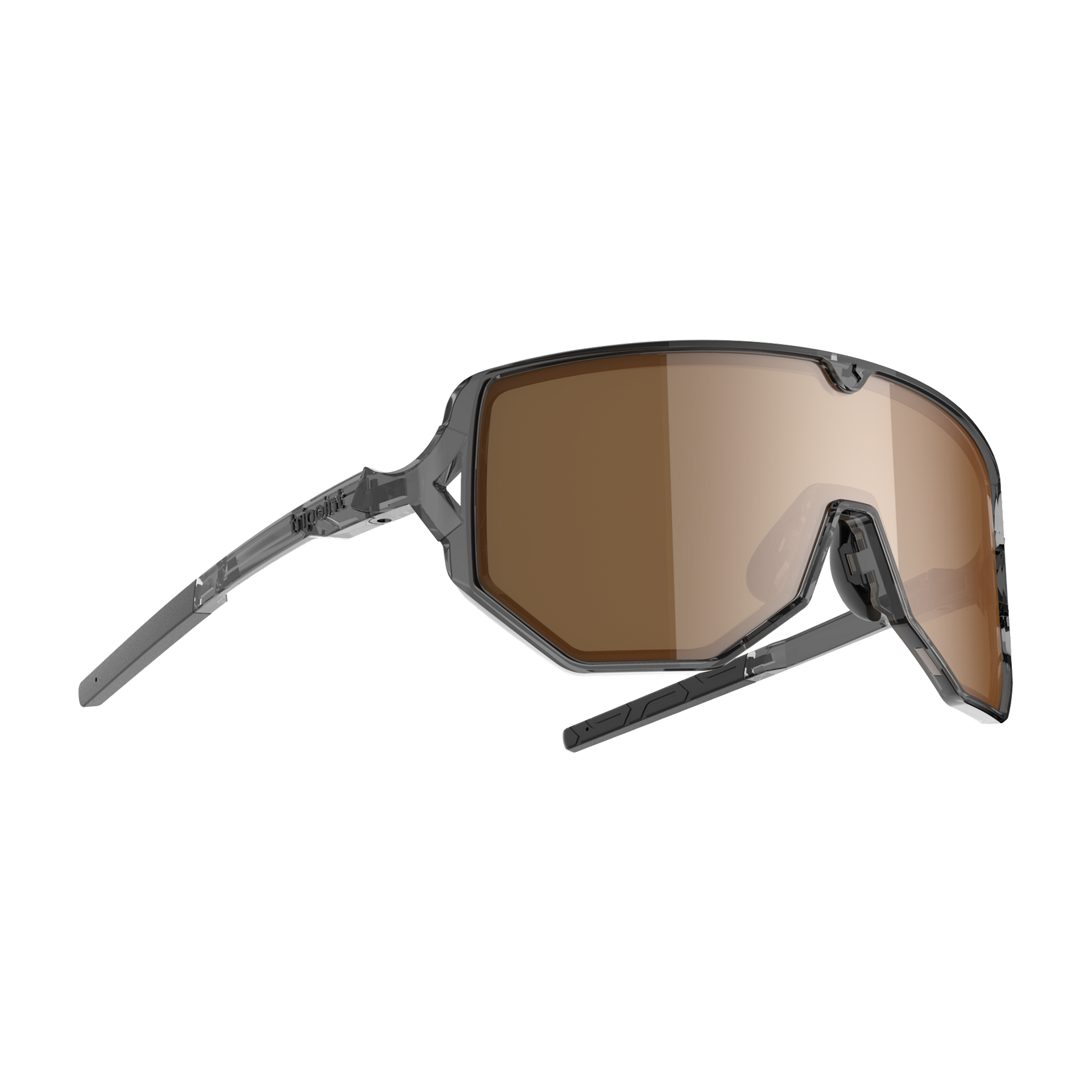 003 Reschen - Shiny Transp Black / POL Brown Silver Mirror