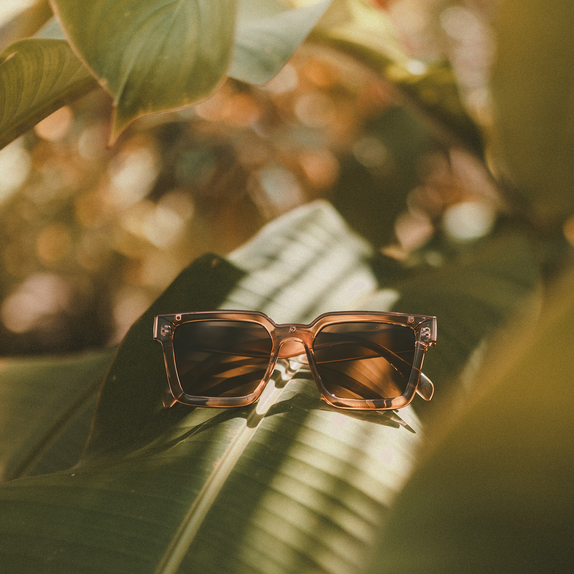 サングラス ^ONE BRILLIANT^ CorbyOB463Dark Brown Corby-OB463-Dark Brown Fendi 0413/s Sunglasses Brown Gold Cat Eye/butterfly 60mm